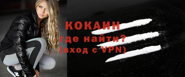 соль ск Новозыбков