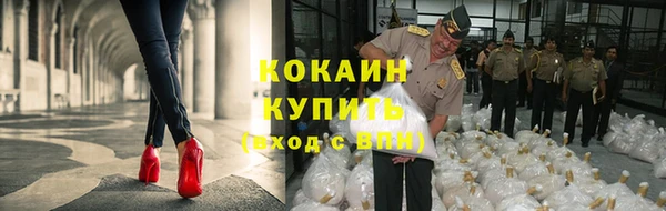 МДПВ Нефтегорск