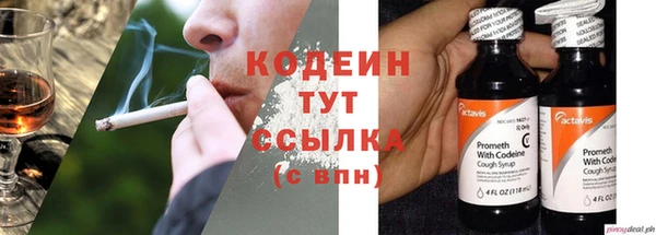 соль ск Новозыбков