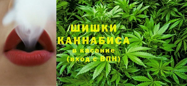 соль ск Новозыбков