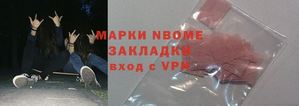 соль ск Новозыбков