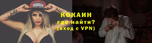 соль ск Новозыбков