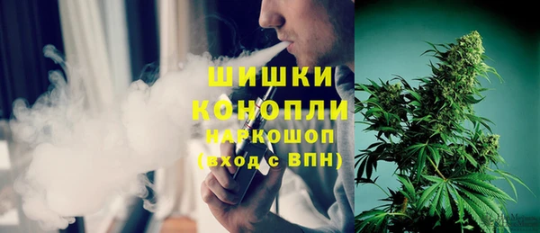 дживик Нея